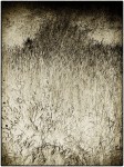 DSCN0552