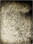 DSCN0553