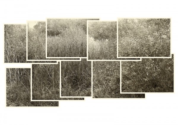 Reeds_02_01