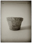DSCN0621