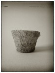 DSCN0622