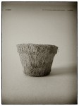 DSCN0623