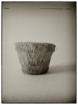 DSCN0625