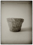 DSCN0627