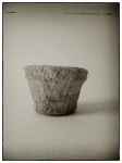DSCN0628