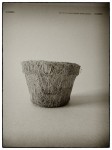 DSCN0629