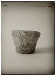 DSCN0631