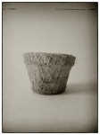 DSCN0632