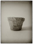 DSCN0634