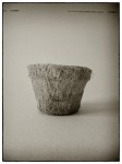 DSCN0636