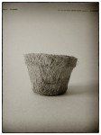 DSCN0637