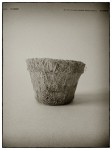 DSCN0638