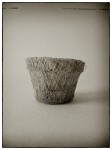 DSCN0639