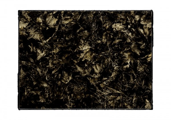 Leaves_overlay_02