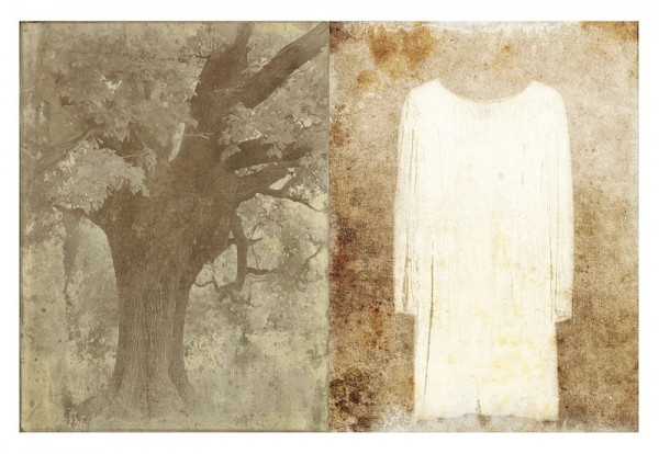 Oak_01