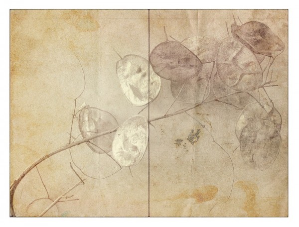 Vessels_39