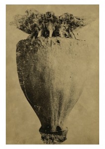 Vessels_18