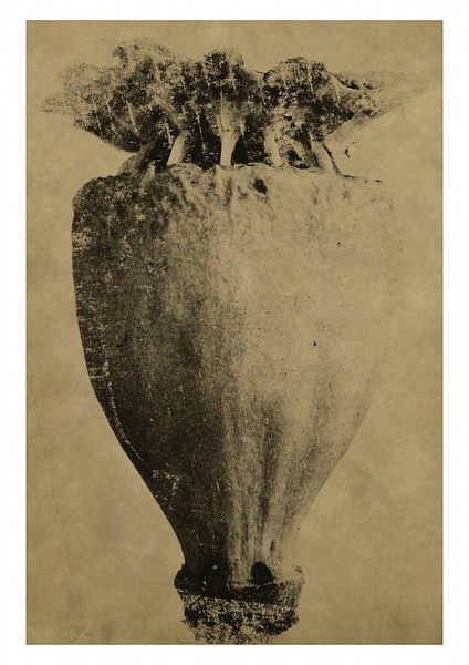 Vessels_18
