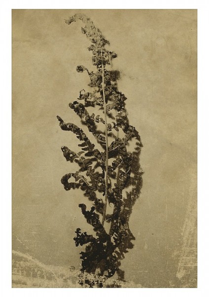Vessels_20