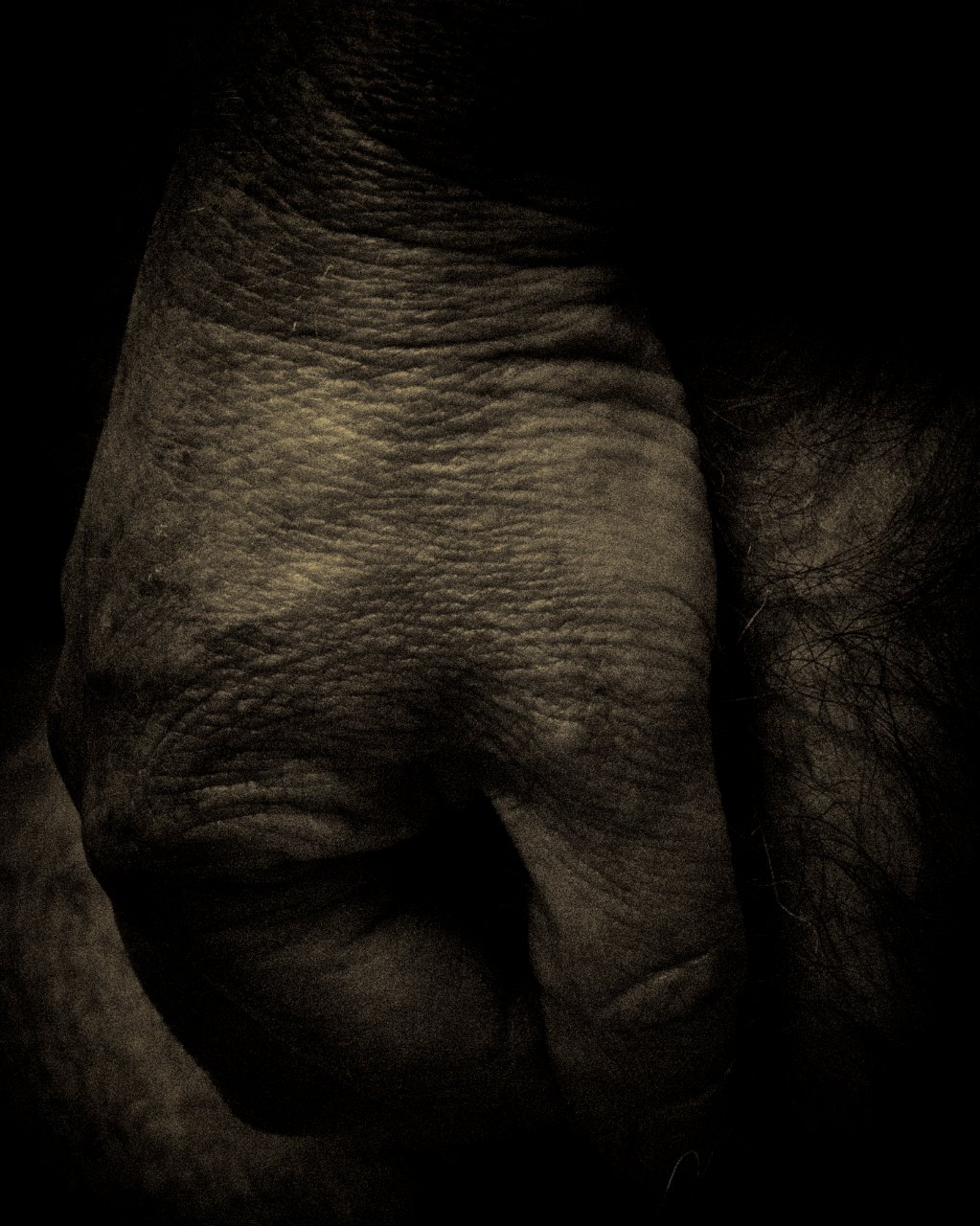 Loading Image