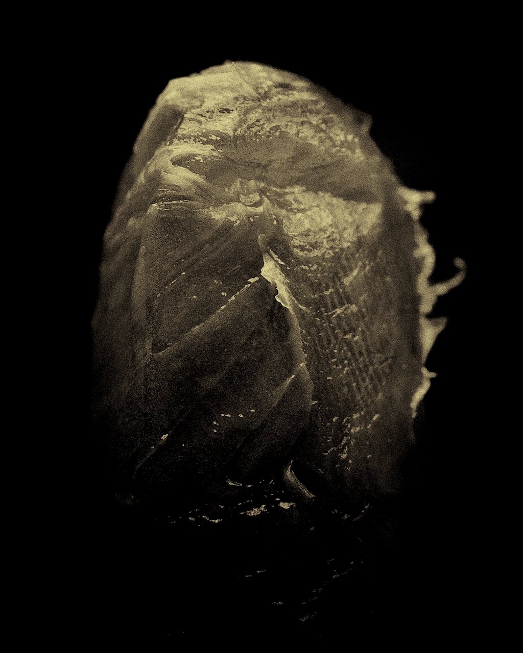 Loading Image