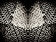 hatch_diptych