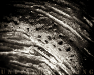stufen_6