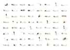 Materia_02_02