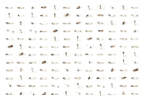 Materia_03_02