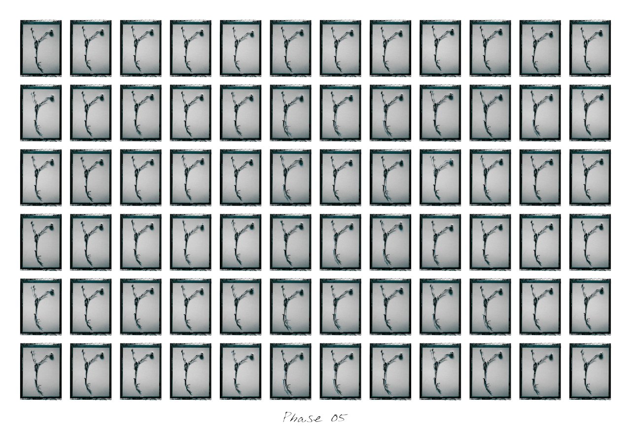 Loading Image