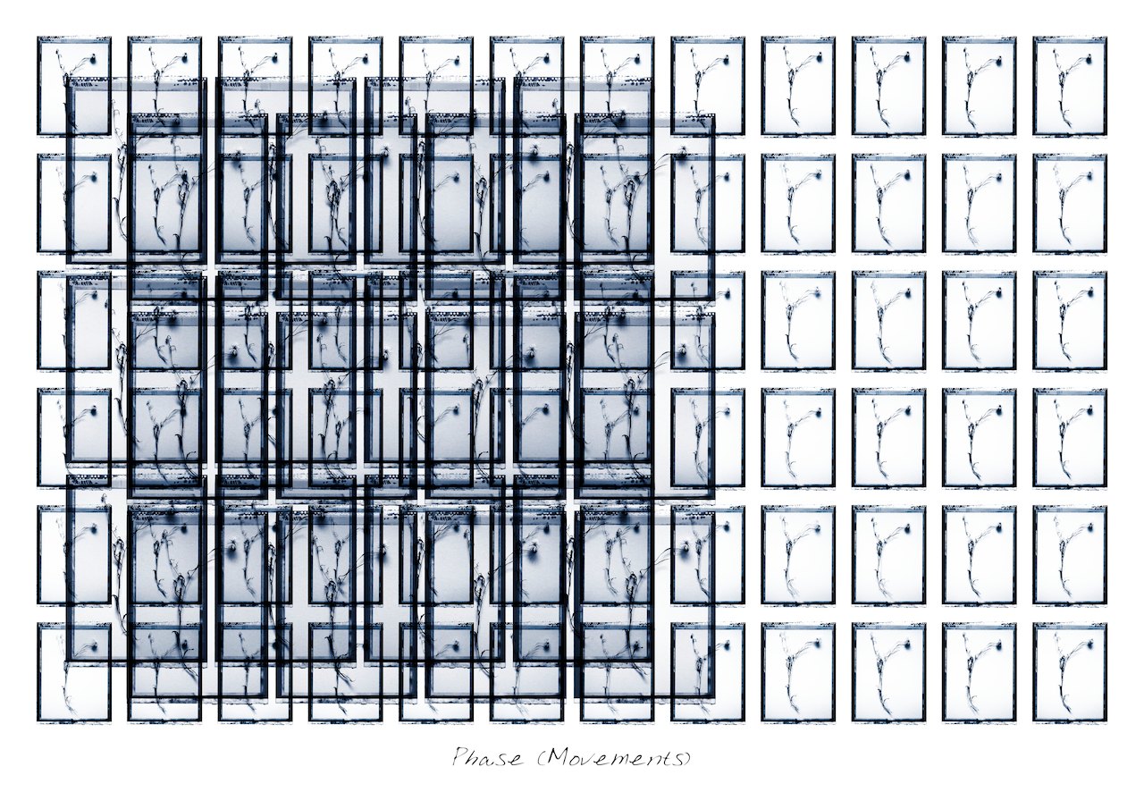 Loading Image
