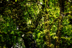 DSC_6654 (1)