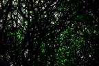 DSC_6658
