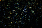 Meta_02 (1)