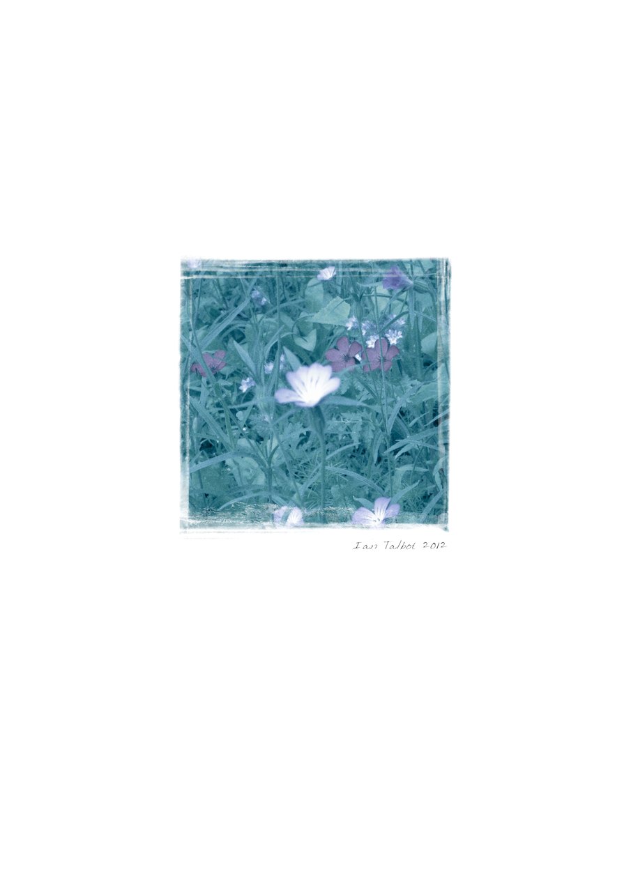 Loading Image