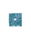 Meadow_01
