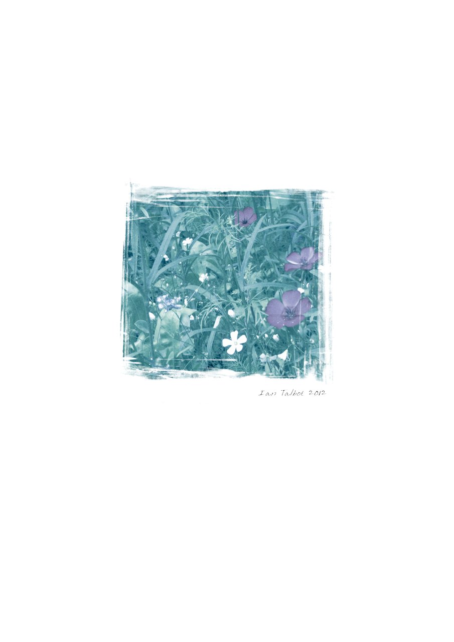 Loading Image