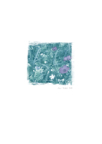 Meadow_02