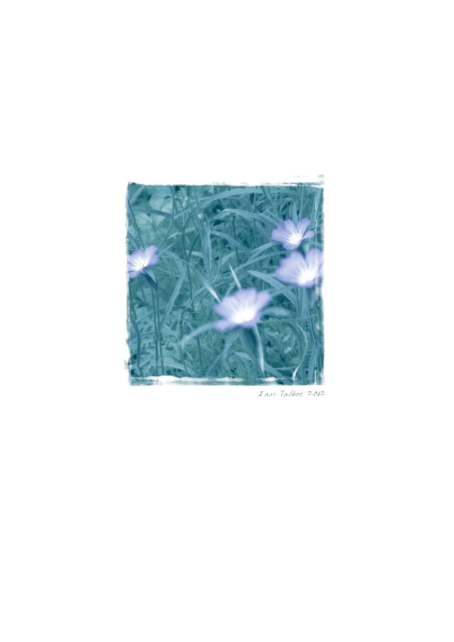 Loading Image