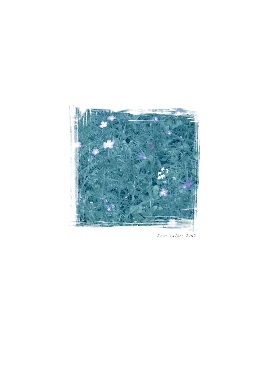 Loading Image