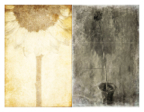 Vessels_43