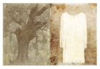 Oak_01