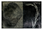 Vessels_10