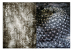 Vessels_31