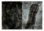 Vessels_34_01