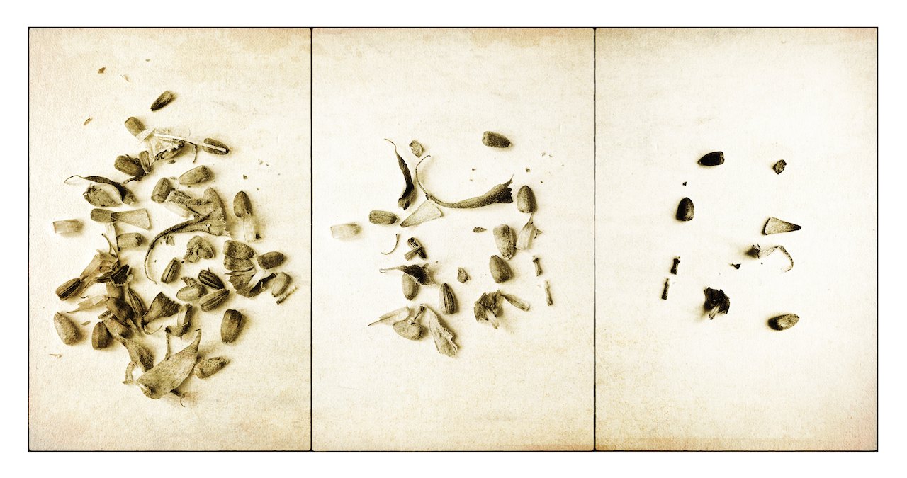 Loading Image