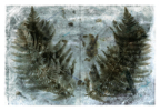 Vessels_22