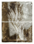 Vessels_13
