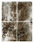 Vessels_15