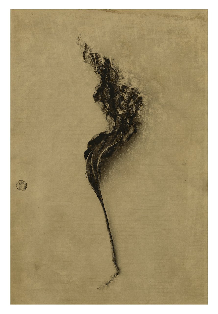 Loading Image